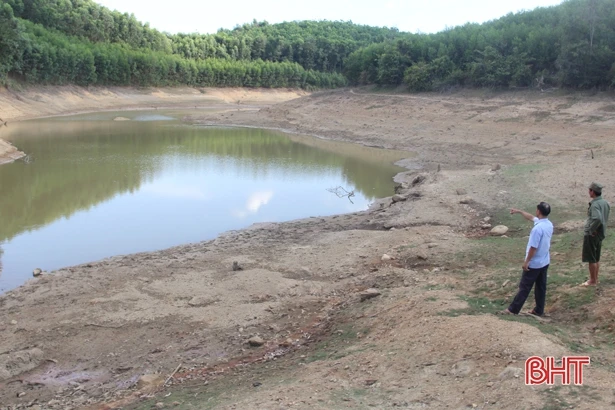 UBND tỉnh Hà Tĩnh chỉ đạo tập trung chống hạn cây trồng vụ hè thu và phòng, chống cháy rừng