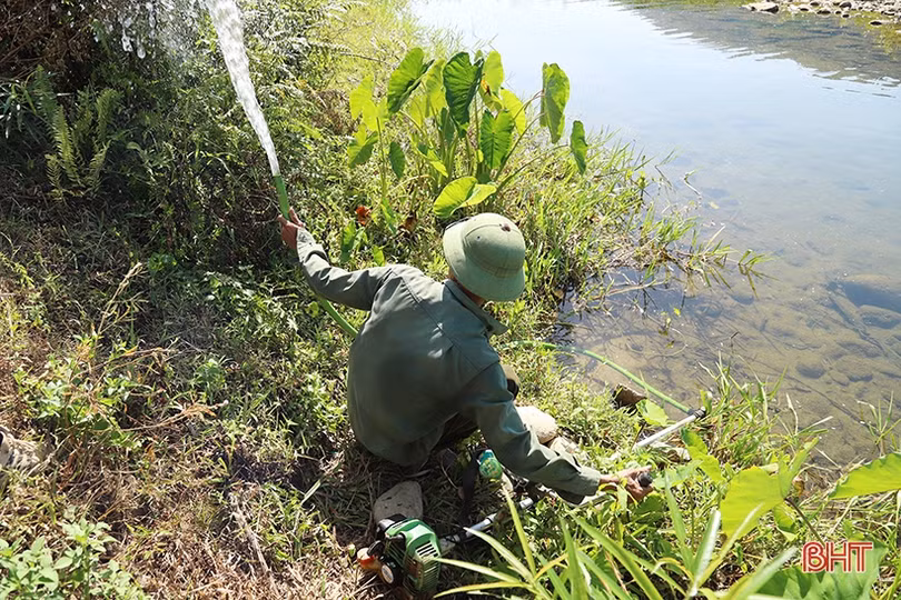 Nông dân vùng biên giới Hà Tĩnh nghĩ đủ cách chống hạn “cứu” cây trồng chủ lực