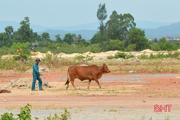 Doanh nghiệp ở thị xã Hồng Lĩnh giải thể, đất bỏ hoang trở thành bãi rác