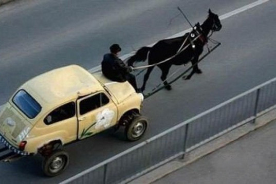 Những hình ảnh khó tin trên đường phố