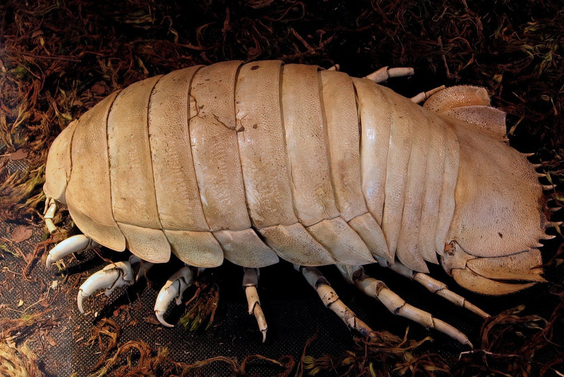 10 địa điểm bí ẩn trong lịch sử