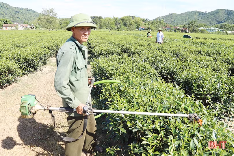 Nông dân vùng biên giới Hà Tĩnh nghĩ đủ cách chống hạn “cứu” cây trồng chủ lực