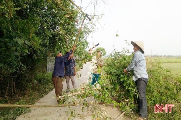 Nắng nóng, nông dân Hà Tĩnh vẫn say sưa làm đẹp vườn, sạch lối