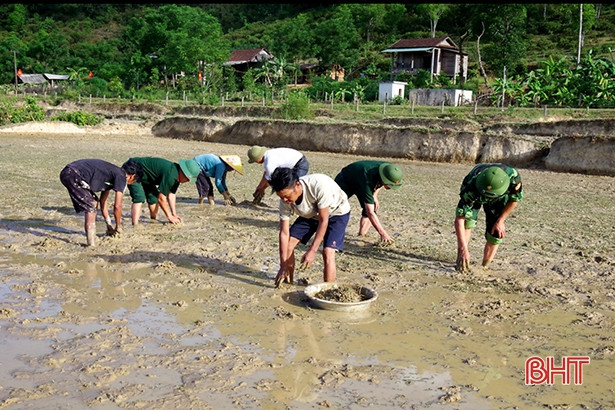 Chiến sỹ Biên phòng Hà Tĩnh giúp bà con dân tộc Chứt gieo cấy lúa hè thu