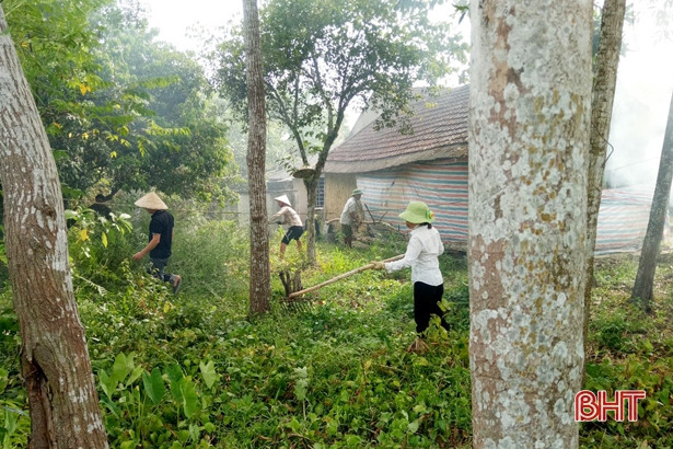 Nắng nóng, nông dân Hà Tĩnh vẫn say sưa làm đẹp vườn, sạch lối