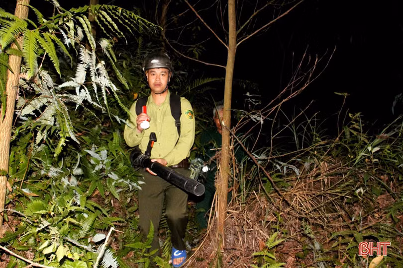 Trắng đêm canh lửa giữ rừng ở Can Lộc