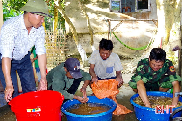 Chiến sỹ Biên phòng Hà Tĩnh giúp bà con dân tộc Chứt gieo cấy lúa hè thu