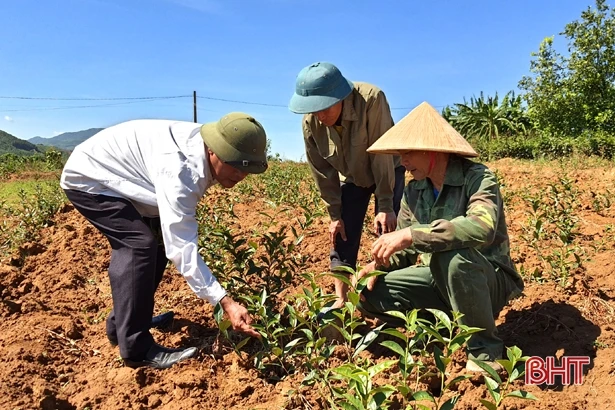 UBND tỉnh Hà Tĩnh chỉ đạo tập trung chống hạn cây trồng vụ hè thu và phòng, chống cháy rừng