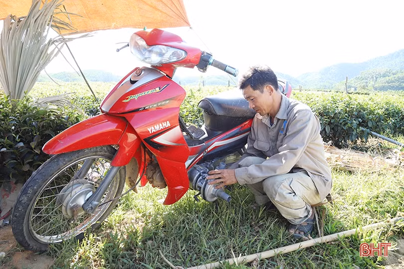 Nông dân vùng biên giới Hà Tĩnh nghĩ đủ cách chống hạn “cứu” cây trồng chủ lực