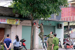 Nghi Xuân ra quân giải tỏa vi phạm hành lang an toàn giao thông