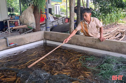 Ngư dân Nghi Xuân khởi nghiệp thành công từ nuôi lươn không bùn