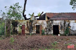 Hoang tàn tổng kho ngoại thương bỏ không hơn ba thập kỷ ở Nghi Xuân