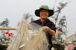 Ngư dân Hà Tĩnh trúng đậm cá trích đầu mùa