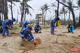 Trồng 10.000 cây phi lao chống sạt lở bờ biển Khu du lịch Xuân Thành