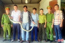 Bàn giao cá thể trăn đất cho Vườn Quốc gia Vũ Quang