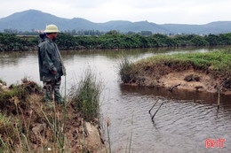 Đê sông Nhà Lê xuống cấp, gây nhiễm mặn hàng trăm ha lúa ở Kỳ Khang