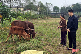 Kỳ Lạc giảm nghèo từ những mô hình phù hợp