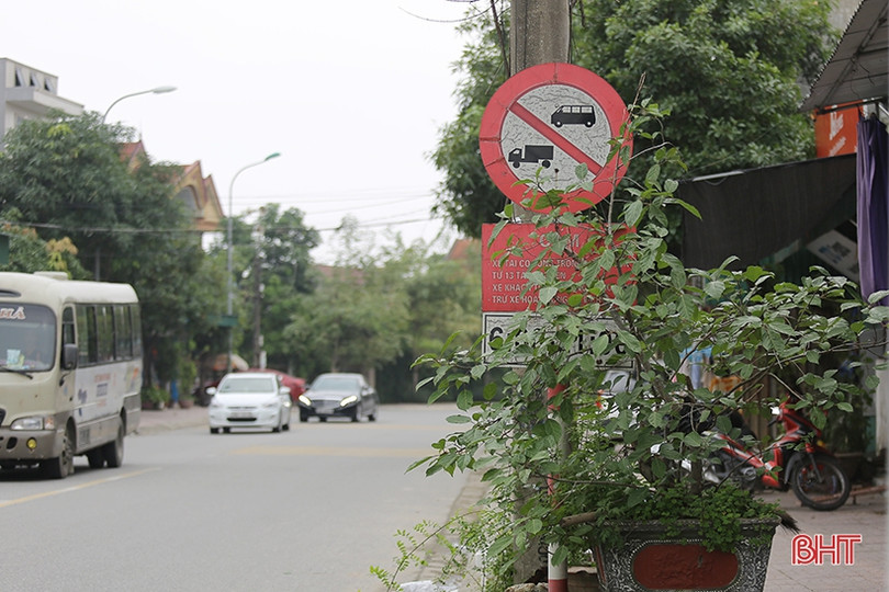 Nhiều biển báo giao thông ở TP Hà Tĩnh bị che khuất, “làm khó” người đi đường 