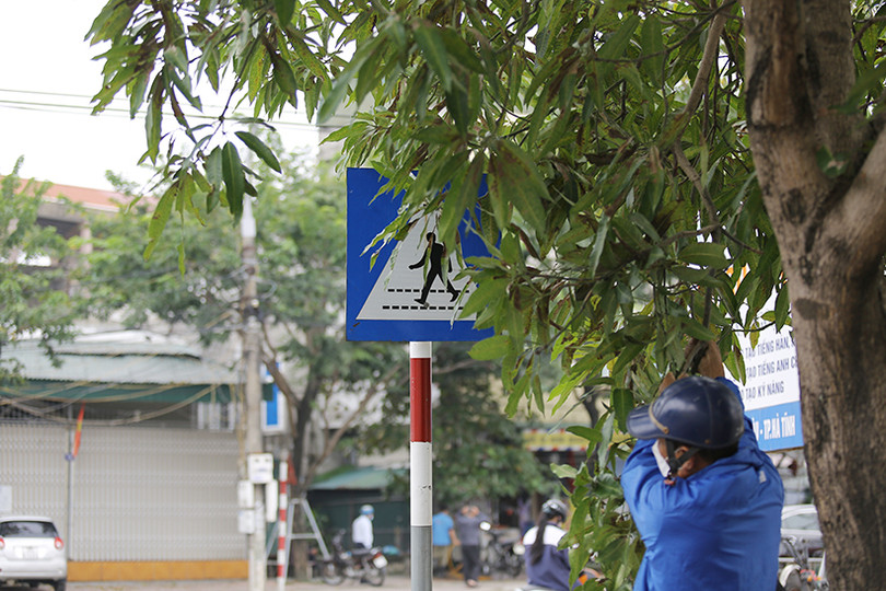 Nhiều biển báo giao thông ở TP Hà Tĩnh bị che khuất, “làm khó” người đi đường 