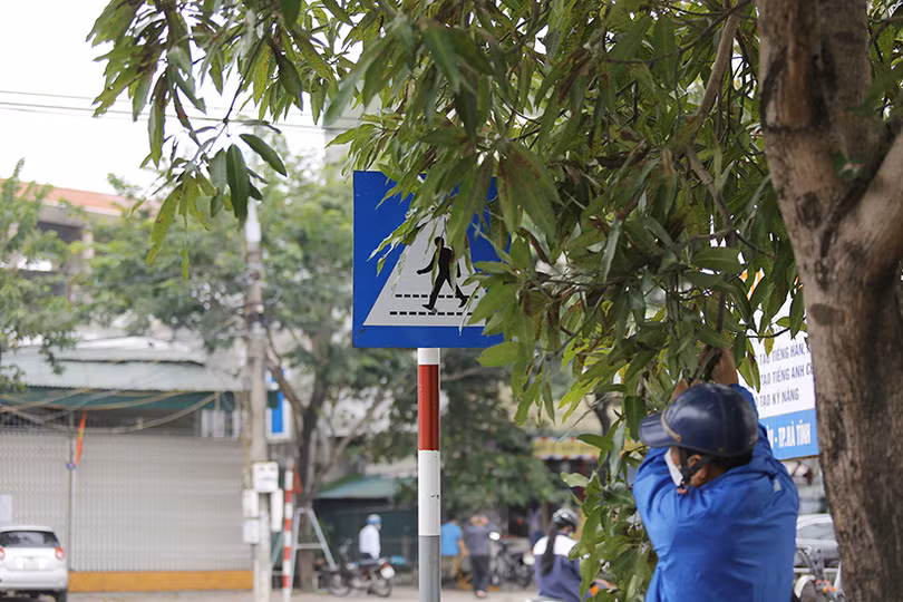 Nhiều biển báo giao thông ở TP Hà Tĩnh bị che khuất, “làm khó” người đi đường 