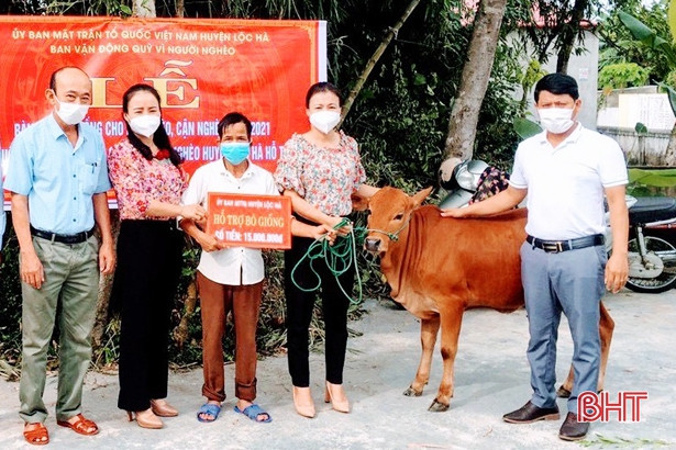 Lộc Hà hỗ trợ tiền mua 23 con bê giống cho hộ nghèo