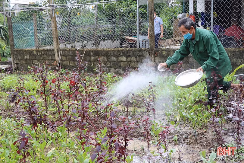 Nông dân Hà Tĩnh tất bật ra đồng sản xuất vụ đông