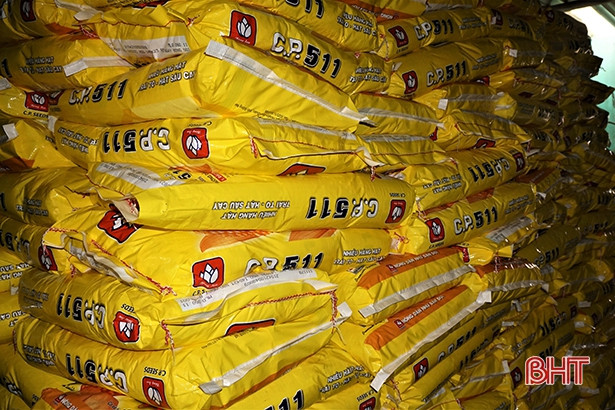 Hương Khê hỗ trợ nông dân gần 1,8 tỷ đồng mua ngô giống vụ đông