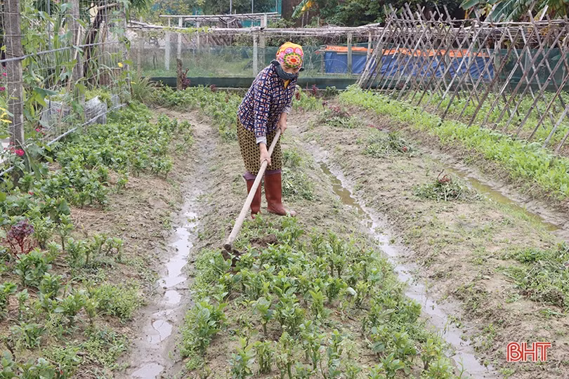 Nông dân Hà Tĩnh tất bật ra đồng sản xuất vụ đông