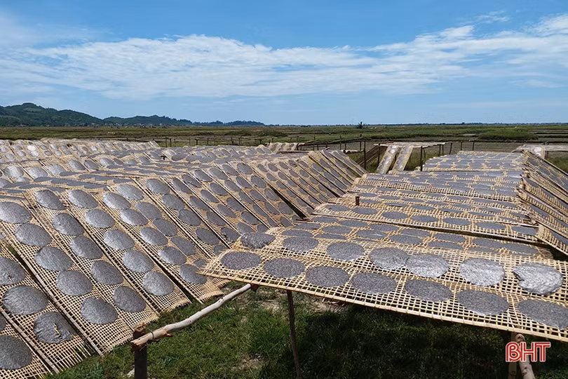 Hiện thực hóa giấc mơ đưa bánh đa vừng OCOP của Hà Tĩnh xuất ngoại