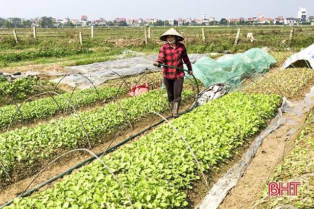 Tháng 11, Hà Tĩnh sẽ có mưa nhiều và bắt đầu xuất hiện các đợt rét