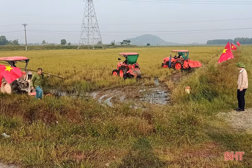 Nông dân Hà Tĩnh tất bật ra đồng sản xuất vụ đông