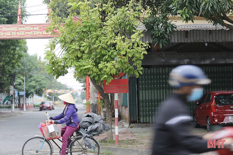 Nhiều biển báo giao thông ở TP Hà Tĩnh bị che khuất, “làm khó” người đi đường 