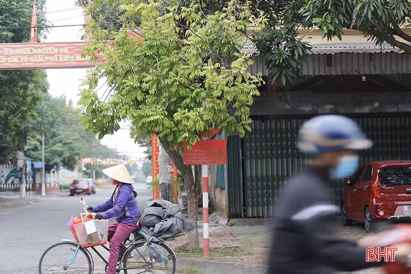 Nhiều biển báo giao thông ở TP Hà Tĩnh bị che khuất, “làm khó” người đi đường 