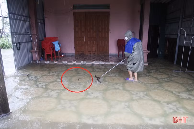 Nước lên nhanh, người dân Kỳ Anh tất bật dọn đồ đạc