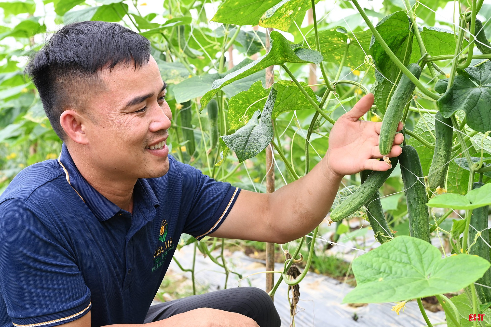 Anh Cao Minh Nhật – HTX Sản xuất, kinh doanh tổng hợp Nhật Hằng cho biết: "HTX đã phối hợp với địa phương tổ chức tham quan, tập huấn kỹ thuật. Người dân tham gia mô hình đã nắm vững quy trình. Hiện nay, dưa đã cho thu hoạch, năng suất ước đạt khoảng 60 tấn/ha. HTX đang tiếp tục kết nối thị trường để đảm bảo đầu ra".