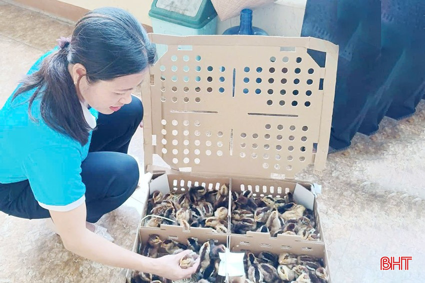 Các chương trình về hỗ trợ sinh kế, hỗ trợ vốn vay cho hội viên phụ nữ nghèo, cận nghèo và hội viên khó khăn được Hội LHPN huyện Hương Khê phối hợp thực hiện hiệu quả. bqbht_br_1-5943.jpg