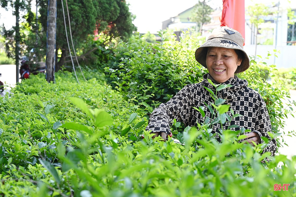 Qua nắm bắt dư luận xã hội cho thấy, người dân Hà Tĩnh bày tỏ đồng tình cao với chủ trương của Trung ương, của tỉnh về sắp xếp, tổ chức bộ máy hành chính. bqbht_br_5.jpg
