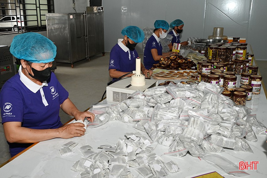 Các chính sách cùng hệ thống thể chế hoàn thiện là cơ sở quan trọng để Hà Tĩnh đưa Nghị quyết 57 đi vào đời sống. bqbht_br_2-3787.jpg
