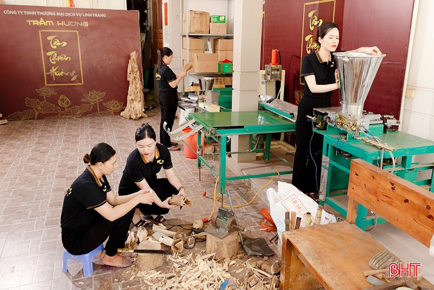 Từ một ý tưởng, dự án Trầm Hương Tâm Thiên Hương đã hoàn thiện mô hình sản xuất trầm hương tự nhiên, doanh thu hàng tỷ đồng mỗi năm. bqbht_br_3.jpg