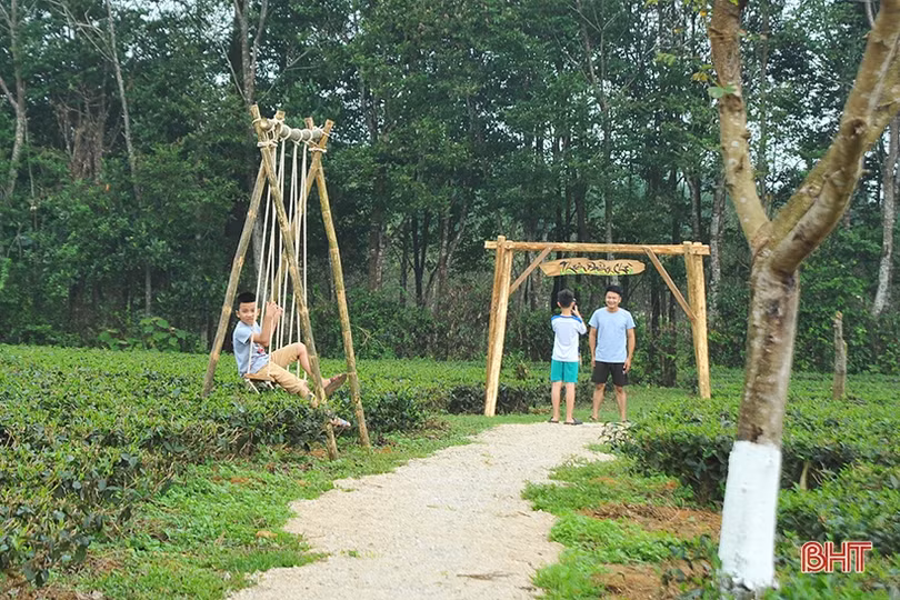 Đồi chè Hương Trà hút khách tham quan dịp tết