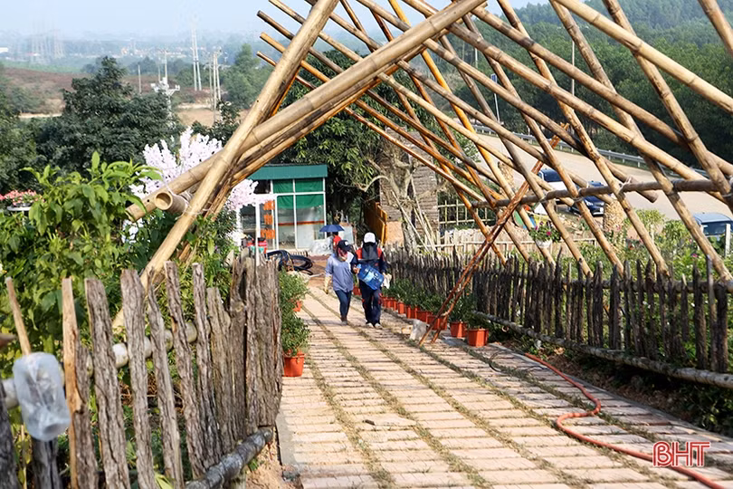 Khu sinh thái Đá Bạc - điểm “check in” hấp dẫn đón xuân mới ở Hà Tĩnh