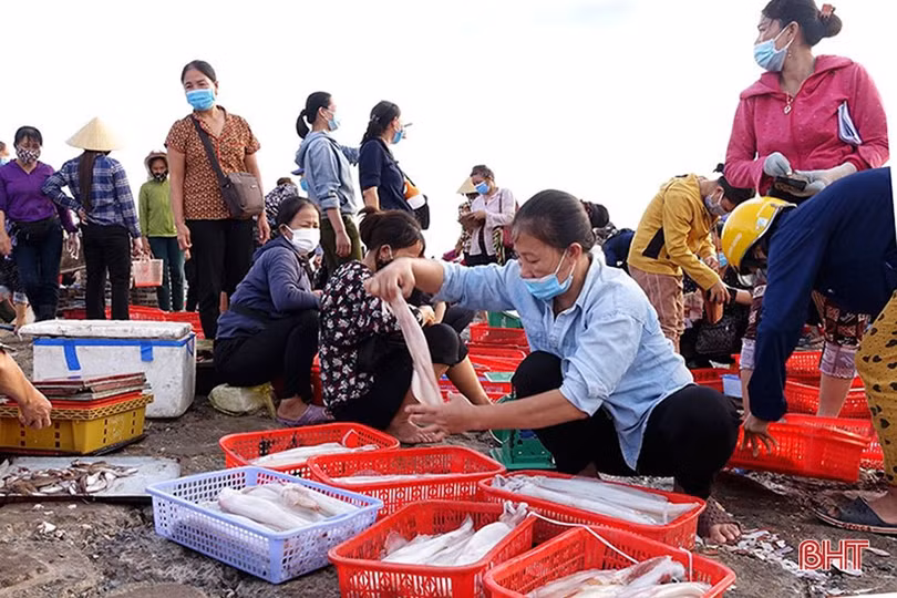 Thủy sản Hà Tĩnh vượt “giông bão”