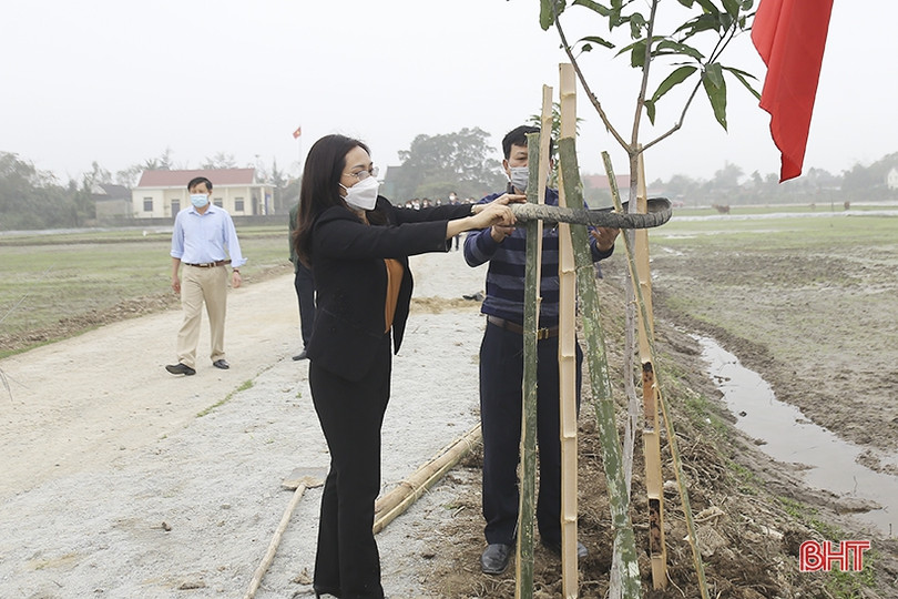 Can Lộc phấn đấu trồng hơn 45.000 cây xanh trong năm 2022