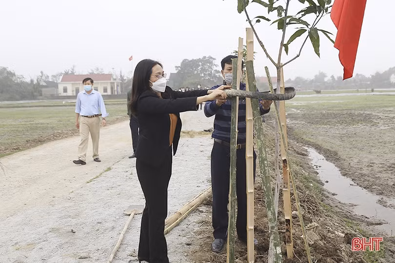 Can Lộc phấn đấu trồng hơn 45.000 cây xanh trong năm 2022