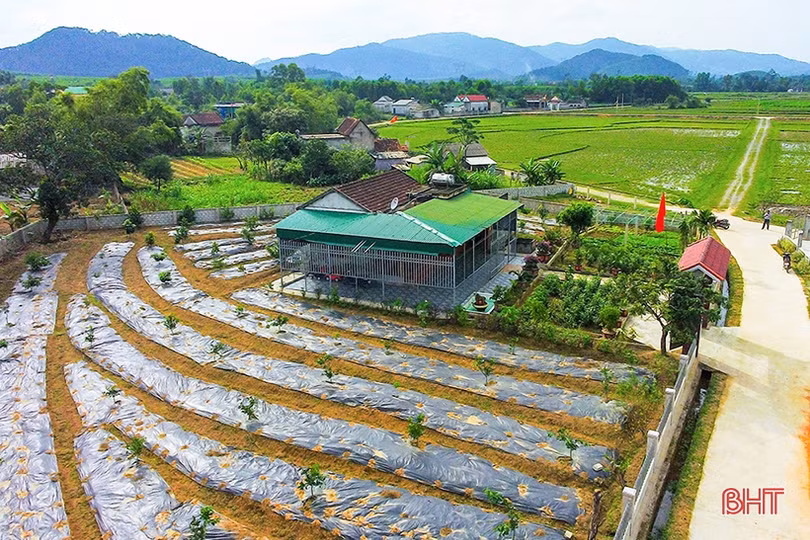 “Quả ngọt” huyện nông thôn mới trên quê hương Tổng Bí thư Hà Huy Tập
