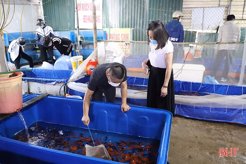 Người dân Hà Tĩnh sắm lễ cúng ông Công, ông Táo