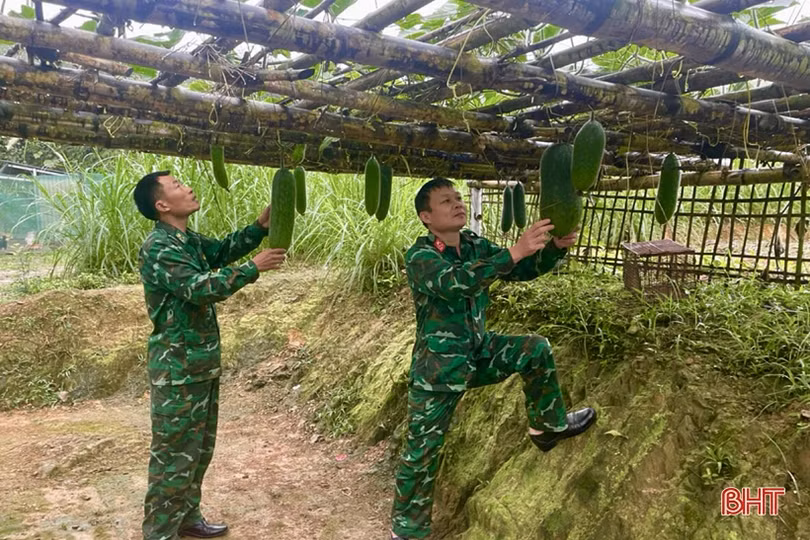 Tết ở Đồn Biên phòng Hương Quang