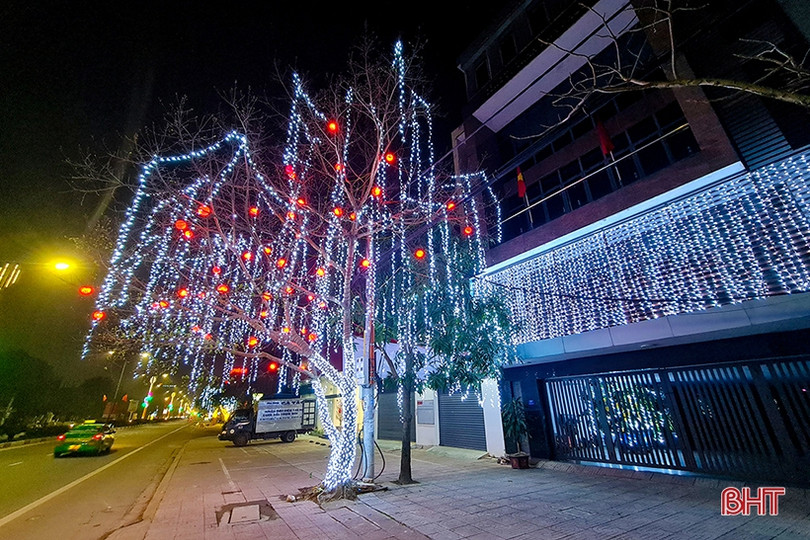 Phố phường Hà Tĩnh rực rỡ đón mừng xuân Nhâm Dần