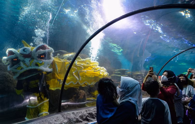 Rộn ràng không khí chuẩn bị đón tết Nguyên đán Nhâm Dần ở các nước