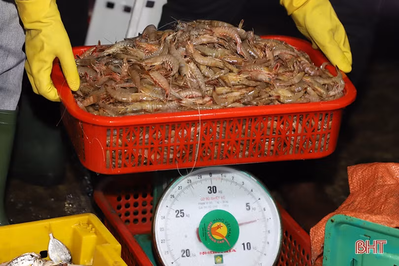 Cảng cá lớn nhất Hà Tĩnh nhộn nhịp ngày cuối năm